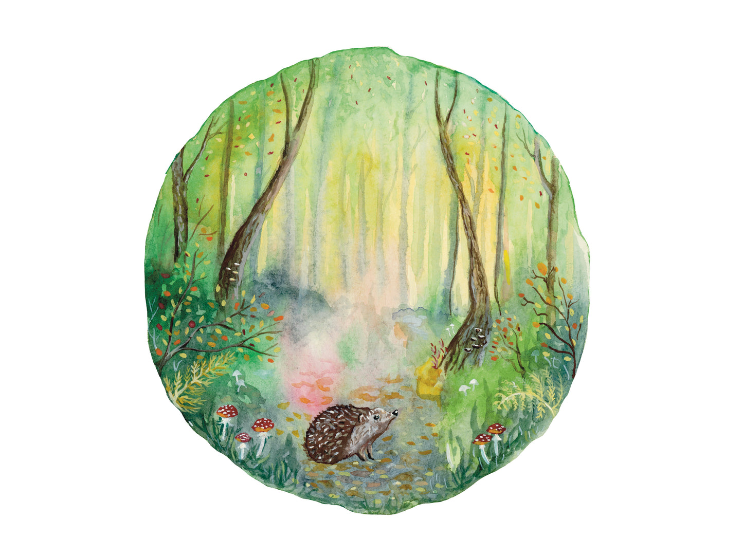 Igel Hans im Zauberwald